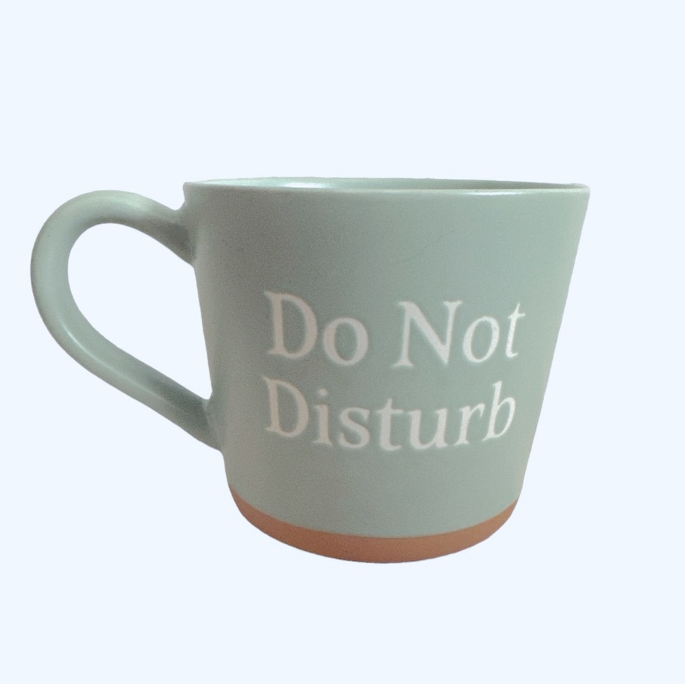 Threshold Stoneware ‘Do Not Disturb’ Mint & Tan Coffee Tea Mug Cup -16 oz- NEW